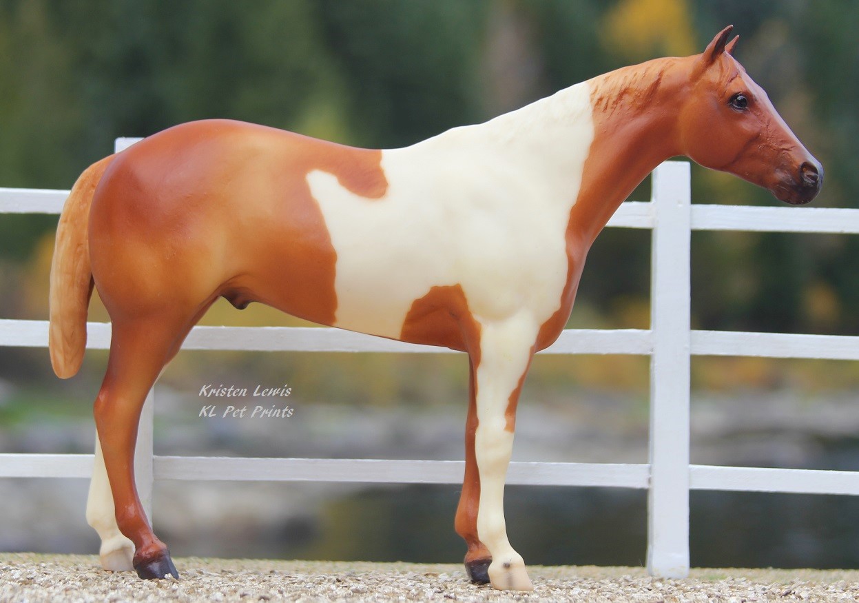 Western Pleasure Horse Breyer Value Guide