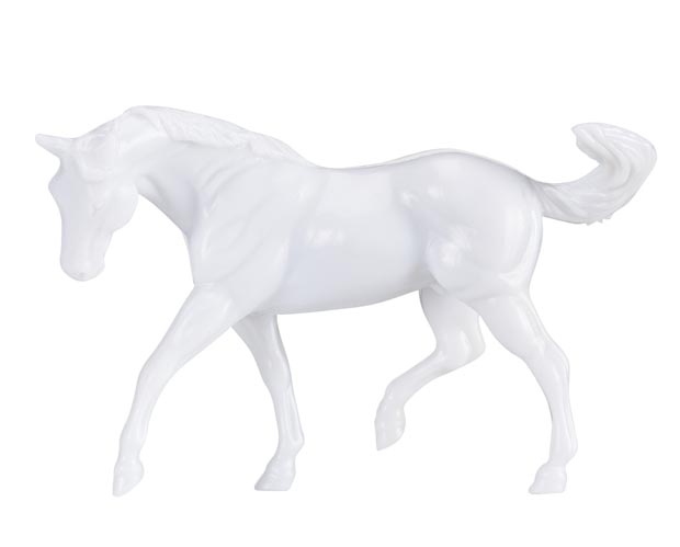 unpainted appaloosa